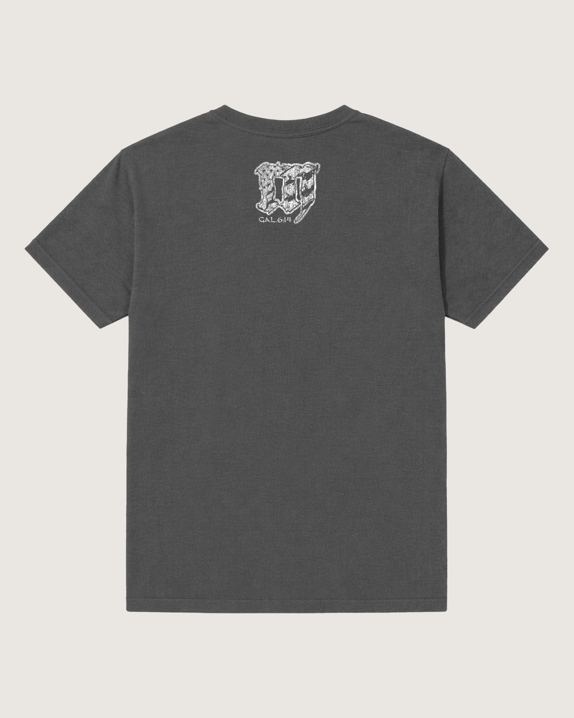 Lion Faith T-Shirt: Dark Grey